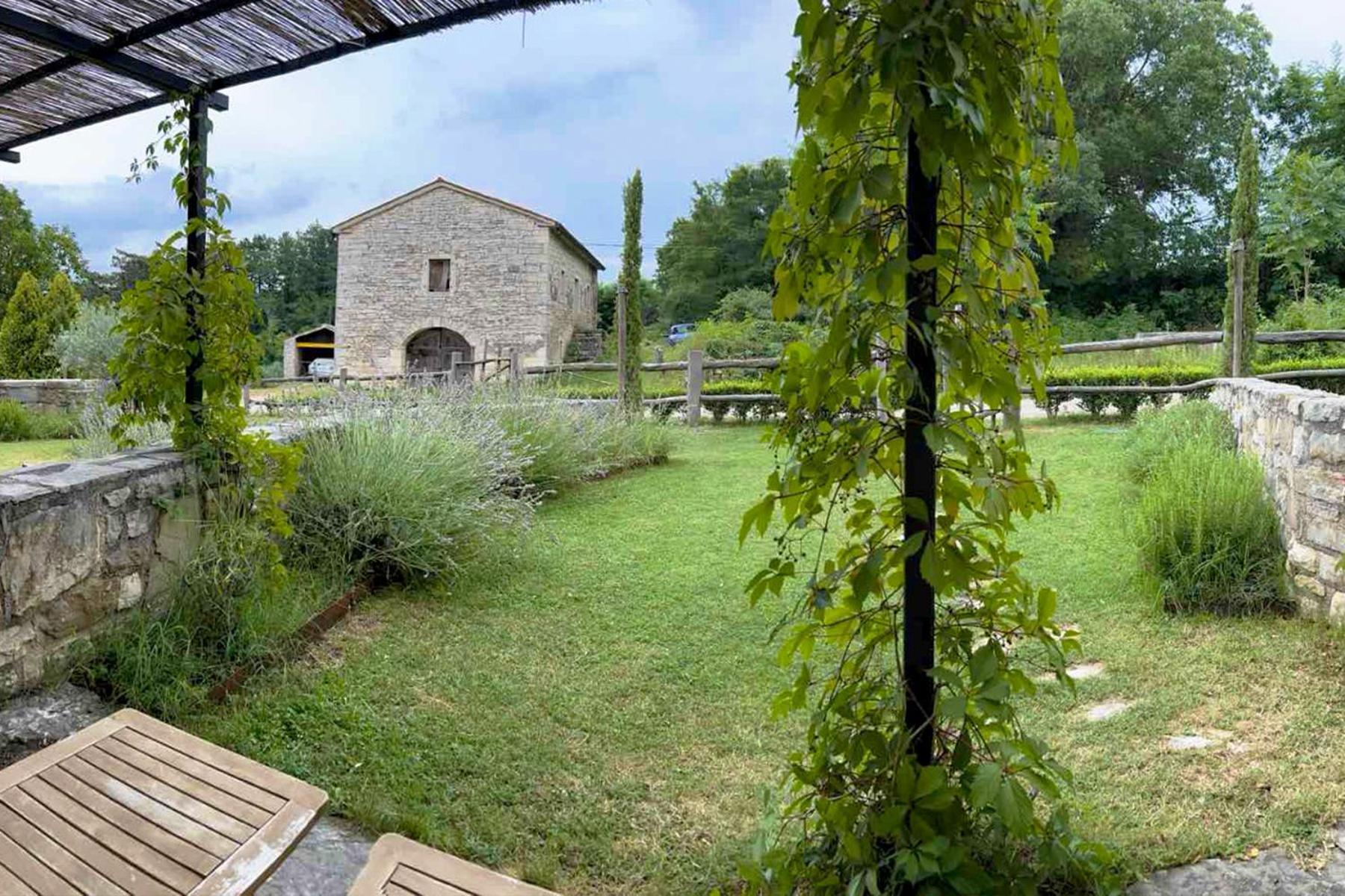Villas Martincici With Large Pool Grožnjan Exteriör bild